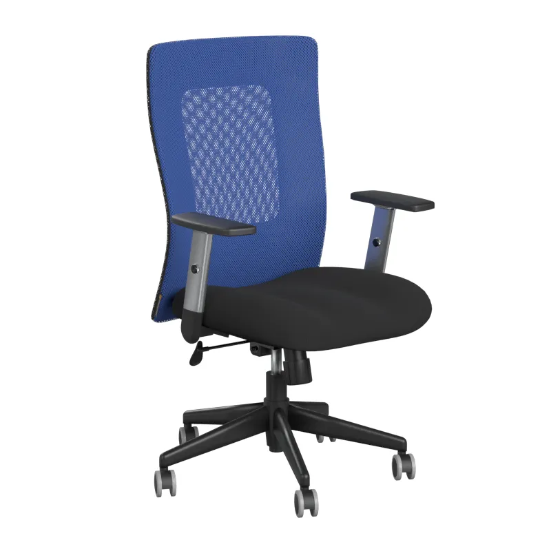 OFFICE PRO CALYPSO XL BP — 360° prohlídka