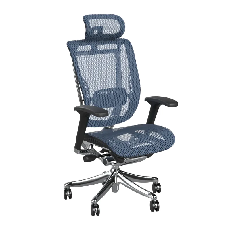 OFFICE PRO LACERTA — 360° prohlídka