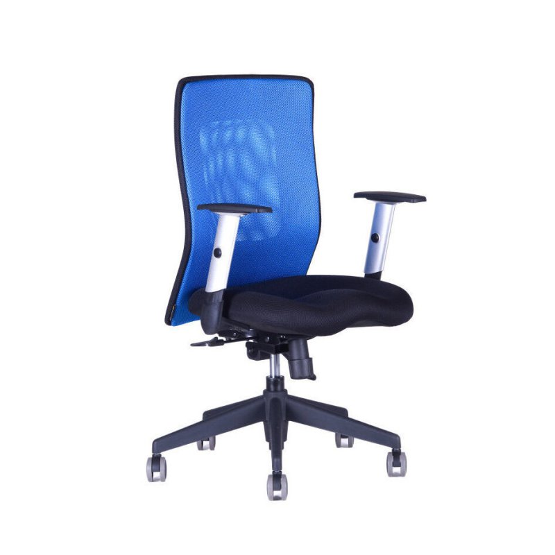 CALYPSO XL BP Zajímavá židle z řady Calypso, s opěrákem vysokým 58 cm. Calypso XL ocení zejména uživatelé vyšší postavy.