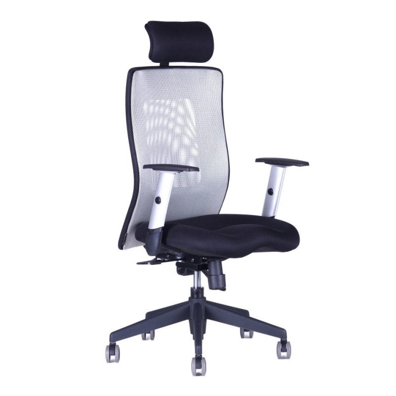CALYPSO XL SP1 Zajímavá židle z řady Calypso, s opěrákem vysokým 58 cm a nastavitelnou hlavovou opěrkou. Calypso XL ocení zejména uživatelé vyšší postavy.
